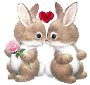 lapins amour